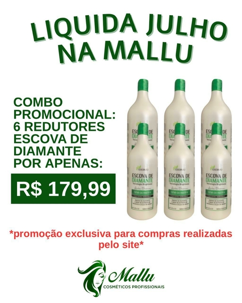 COMBO COM 06 UNIDADES REDUTOR ESCOVA DE DIAMANTE 1L TEREBINTO - comprar online