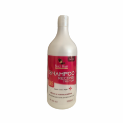 SHAMPOO RECONSTRUTOR COCO, MONOI E ARGAN 1L BIAZ HAIR