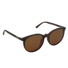 ÓCULOS CLIP-ON COLIN MARROM TARTARUGA - comprar online