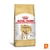 Alimento Royal Canin Bulldog Ingles Adulto
