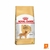 Alimento Royal Canin Perro Golden Retriever Adulto
