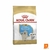Alimento Royal Canin Perro Golden Retriever Puppy