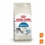 Alimento Royal Canin Gato Indoor