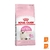 Alimento Royal Canin Gatito Kitten