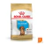 Bolsa de alimento Royal Canin para cachorros de raza Salchicha, 3 kg.