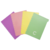 https://papelariapingodeouro.com.br/produtos/ divisoria-pastel-grande-para-caderno-inteligente
