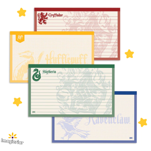 Fichas de Anotações Harry Potter 150g DAC