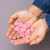Discos + Elásticos Rosa Sertão para Caderno Inteligente - loja online