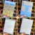 Caderno Universitário Onde Está Wally? Animativa - 1 ou 10 Matérias - Imagicriar