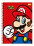 Imagem do Caderno Universitário Super Mario Foroni - 1 ou 10 Matérias