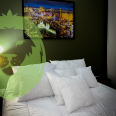 Banner de la categoría Almohadas