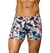 BOXER XY 1374
