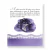 biblia-da-princesinha-sheila-walsh-thomas-nelson-22139-interior-2--site