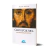 cristo-e-cultura-alan-novaes-editora-fonte-editorial-43623-min