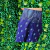 Calça Pantalona Tailândia Feminina - comprar online