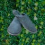 Chinelo Estampado Masculino Ladora 0008 - loja online