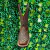 Bota Texana FEMININA Passo Livre Dakar Chocolate Com Glitter