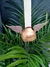 Set x 12 pares Aplique Topper Alas Snitch Dorada Harry - comprar online