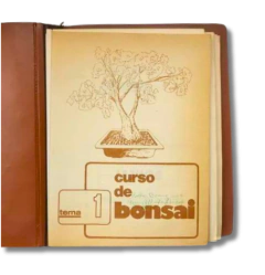 Curso de bonsai (usado)