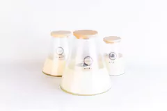 Fanal Conico - comprar online