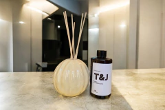 Difusor Terra en internet