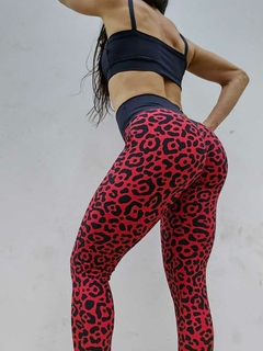 CONJUNTO VÁRIAS CORES LEGGING ONCINHA COM TOP ALCINHA LISO EXCLUSIVO - comprar online