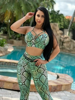 CONJUNTO SNAKE VERDE LEGGING EMPINA BUMBUM E TOP
