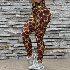 LEGGING EMPINA BUMBUM SAFARI EXCLUSIVA