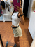 Short Bubba Beige (Pago x Transferencia 15%OFF $25.500)