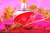 Nadine Elixir