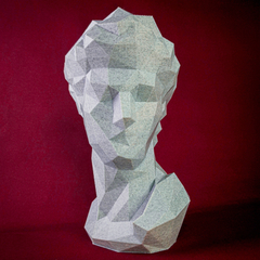 David-Davi-Michelangelo-Lowpoly-estatua-escultura-3D-busto-bust