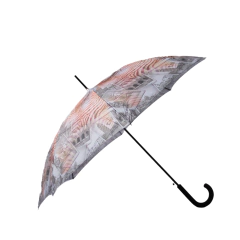 Sombrinha Auto Estampa Sortida 8 Varetas