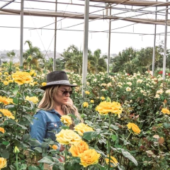Chapéu Brother Onça Jacqueline - loja online