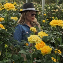 Chapéu Brother Onça Jacqueline