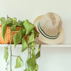 Chapéu Brother Faixa Verde - loja online