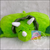 Woody toys 613503 Peluche almohada - Venessia