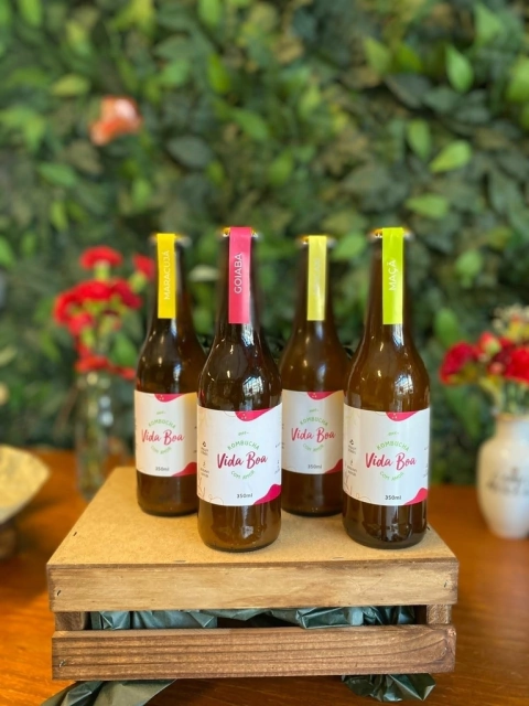 Kombucha Vida Boa 350ml