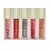 GLOSS LABIAL DREAMY LIPS SILK SKIN