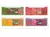 PALETA DE SOMBRAS FUN COLORS na internet