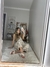 Flat form Cancun - Off white - loja online