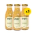 Kit Guppy - Lemon Pepper - 3 un. | Guppy na internet