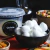 Mozza Búfala Caprese - 180g | Vitalatte na internet