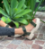 CASSIS - comprar online