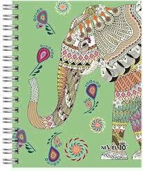 CUADERNO NIVEL 10 PUNTO GUIA ESQUELA en internet