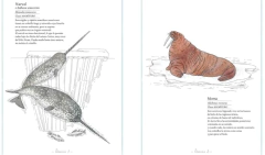 Inventario ilustrado de los mares - comprar online