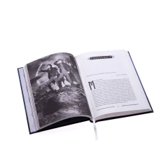 Frankenstein - comprar online