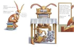 El libro sobre libros del conejo Mateo - comprar online