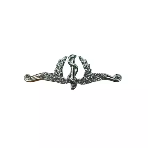 (US 1.29679) Distintivo de Metal Cromado Curso Saúde Exército