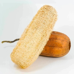 Esponja vegetal grande - Luffa - H2Soap