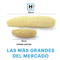 Esponja vegetal grande - Luffa en internet